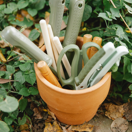 Gardening tools. Image by Gary Barnes on Pexels